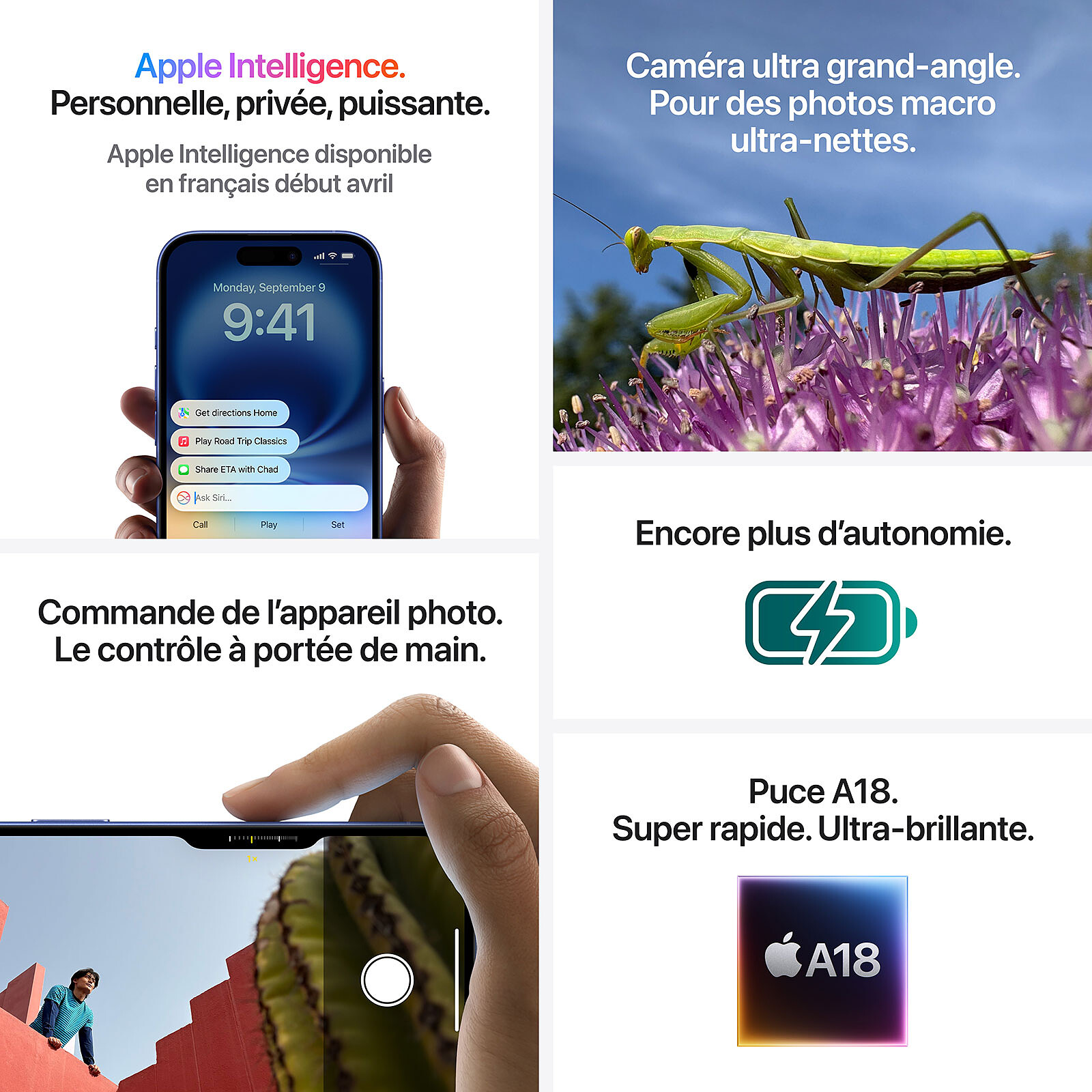 Apple iPhone 16 Plus 128 GB Teal 