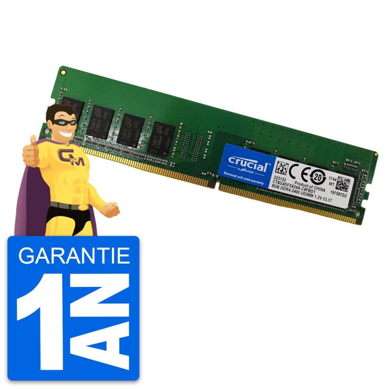 Crucial 8GB DDR4 RAM (CT8G4DFS824A)