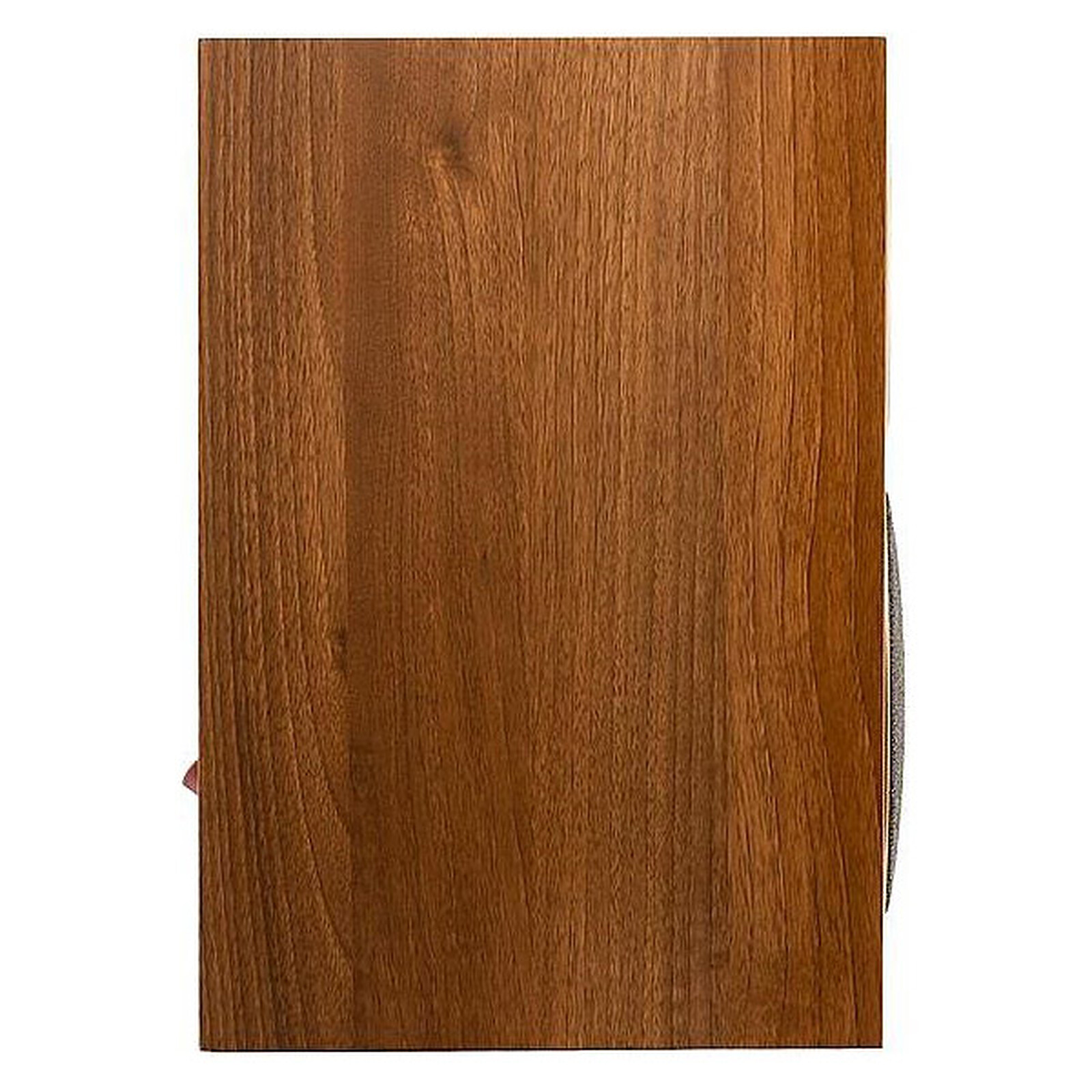 MartinLogan Motion Foundation B1 Noyer