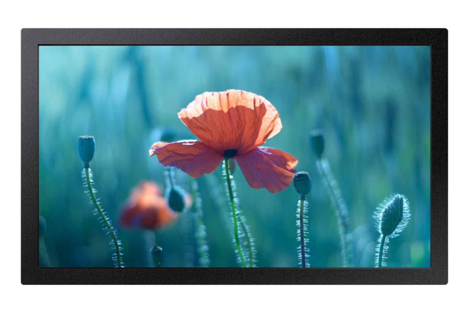 Samsung QB13C 13" LCD Wi-Fi Full HD Black