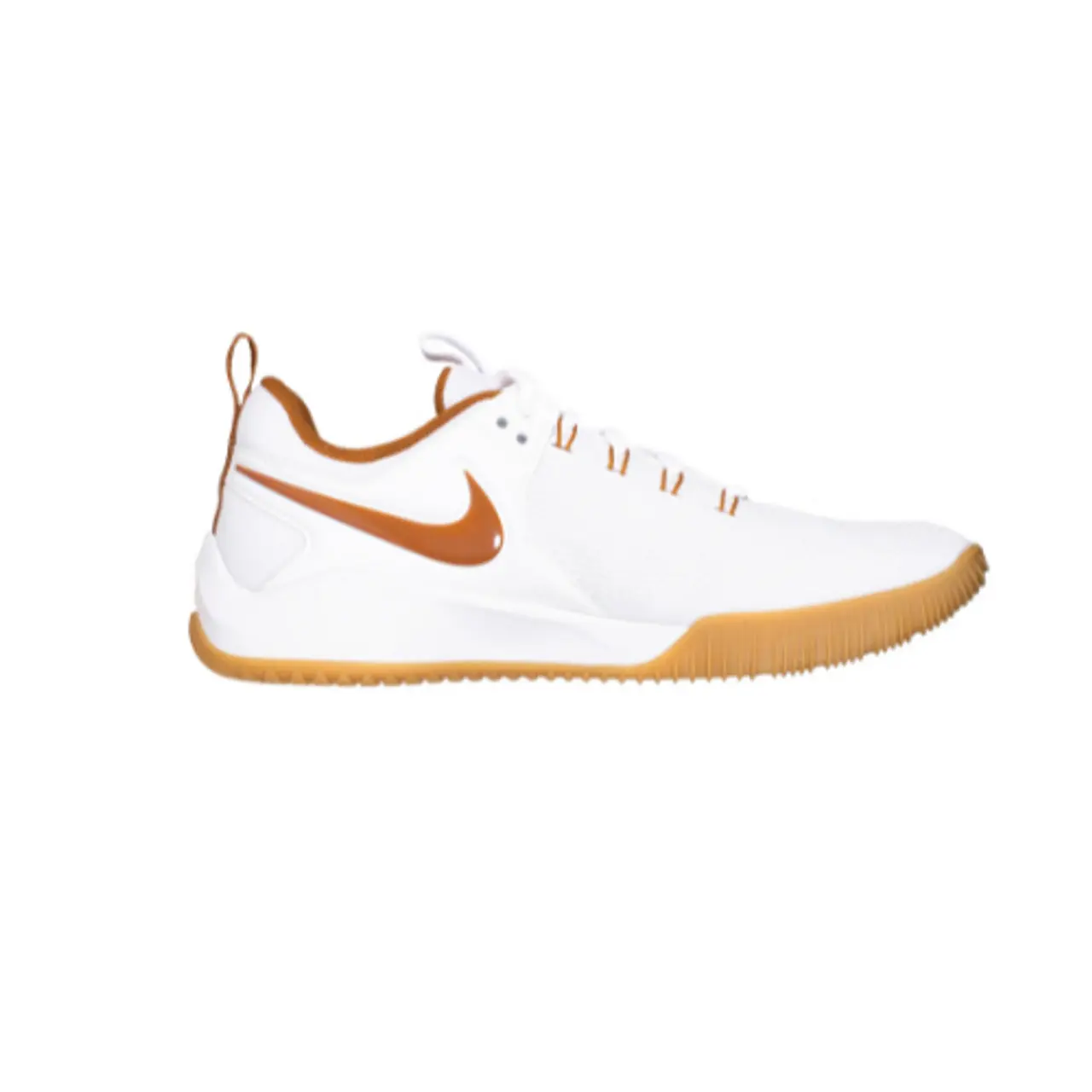 Chaussures de sport intérieures Nike Air Zoom HyperAce 2 SE pour hommes