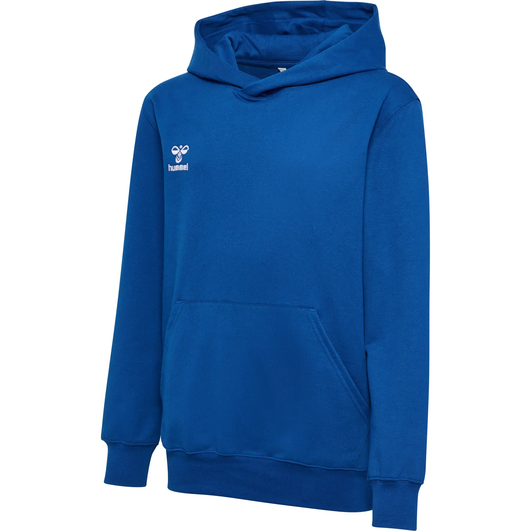 Sudadera con capucha Hummel Go 2.0 para niños