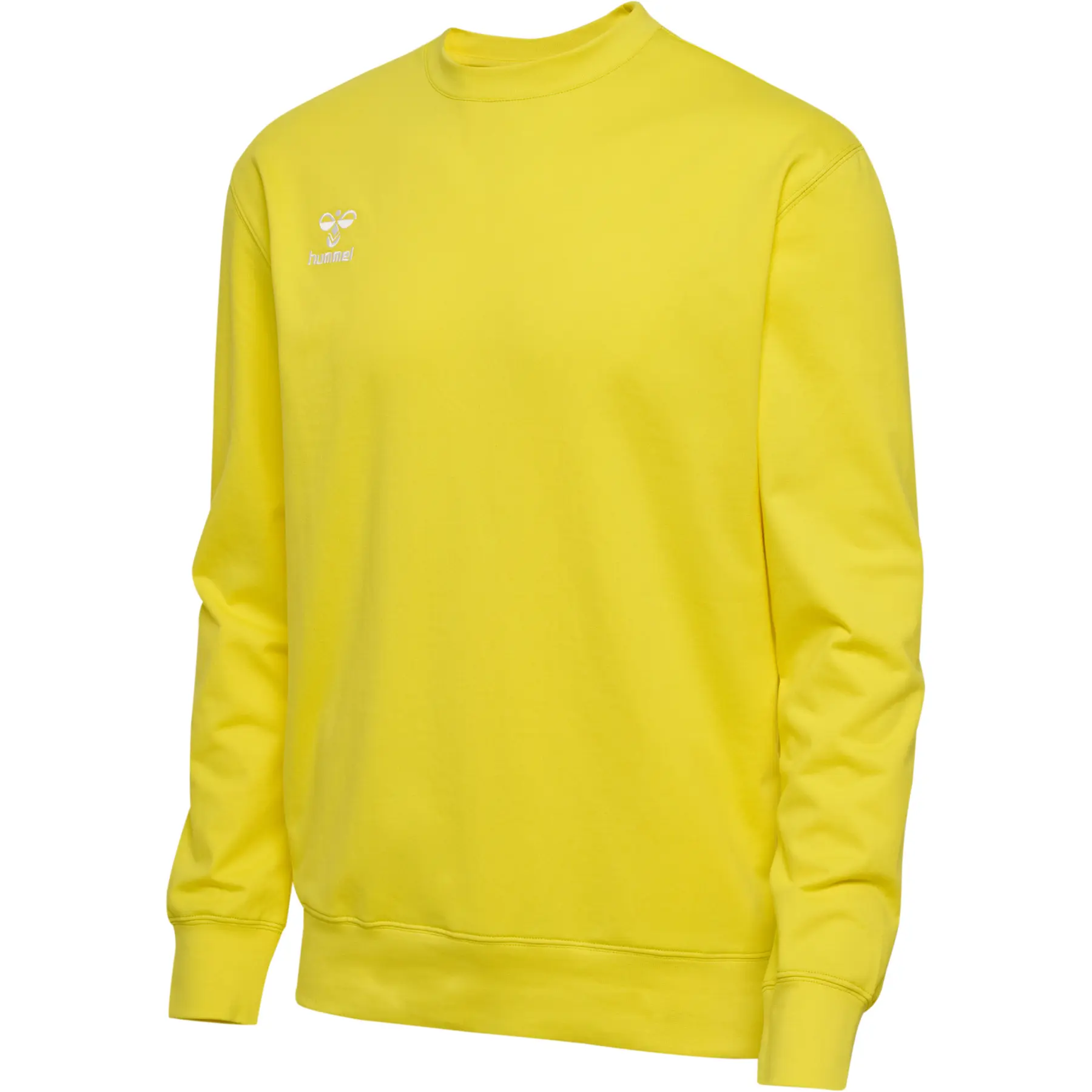 Sudadera con capucha Hummel Go 2.0
