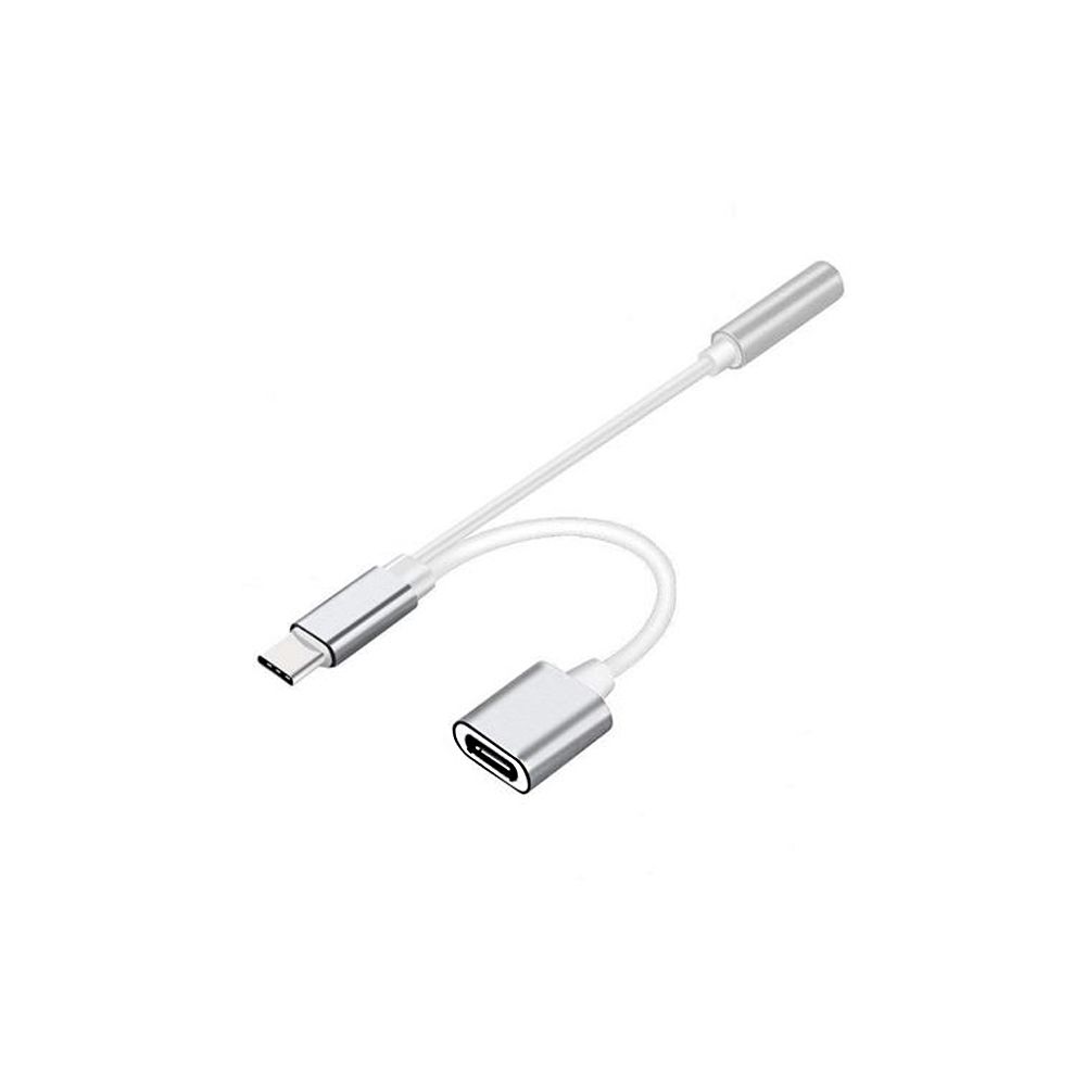 HobbyTech 2-in-1 USB C to 3.5mm Jack Audio and Charge Adapter