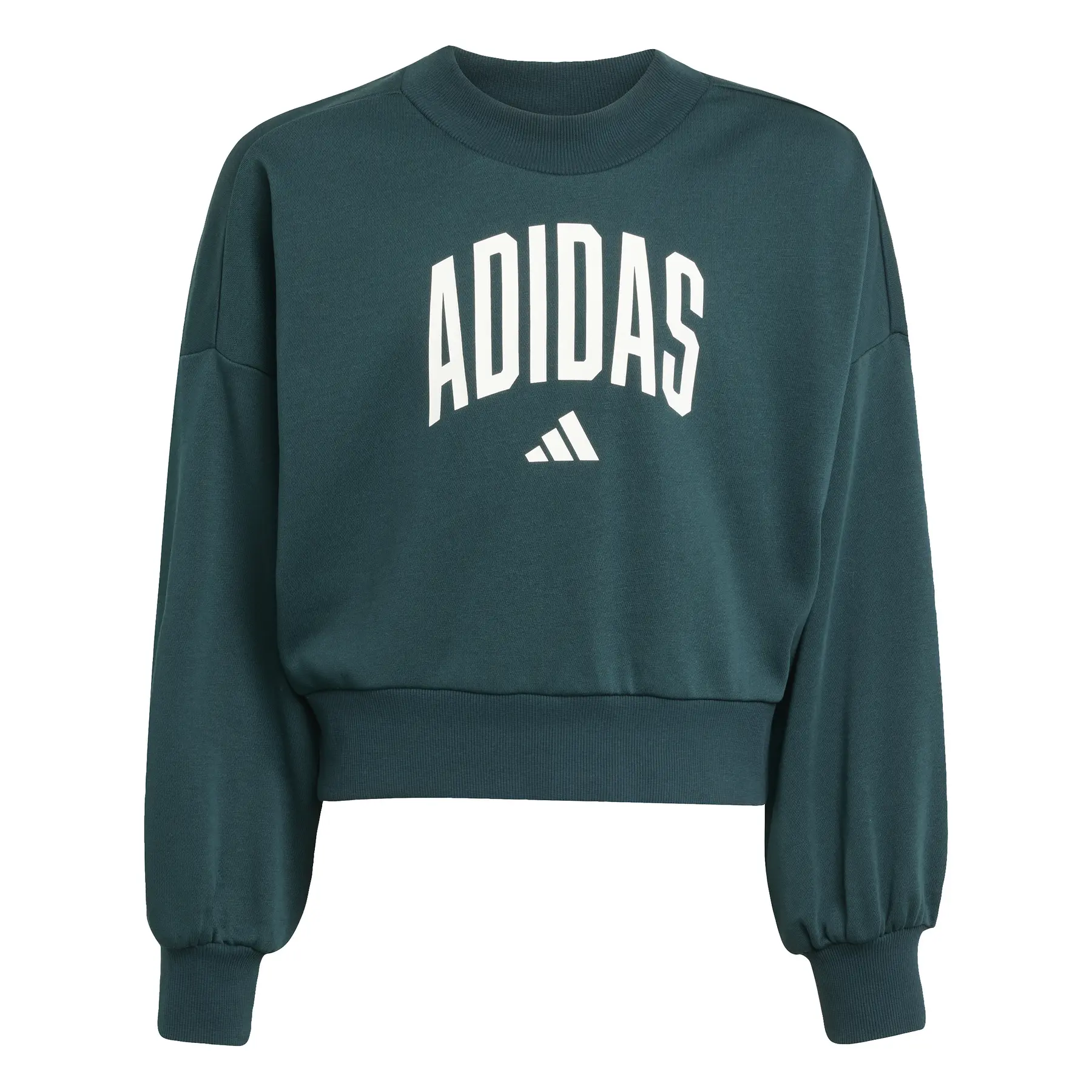 Adidas Girls' Collegiate Typography Sweatshirt (Size, Color, Capacity)