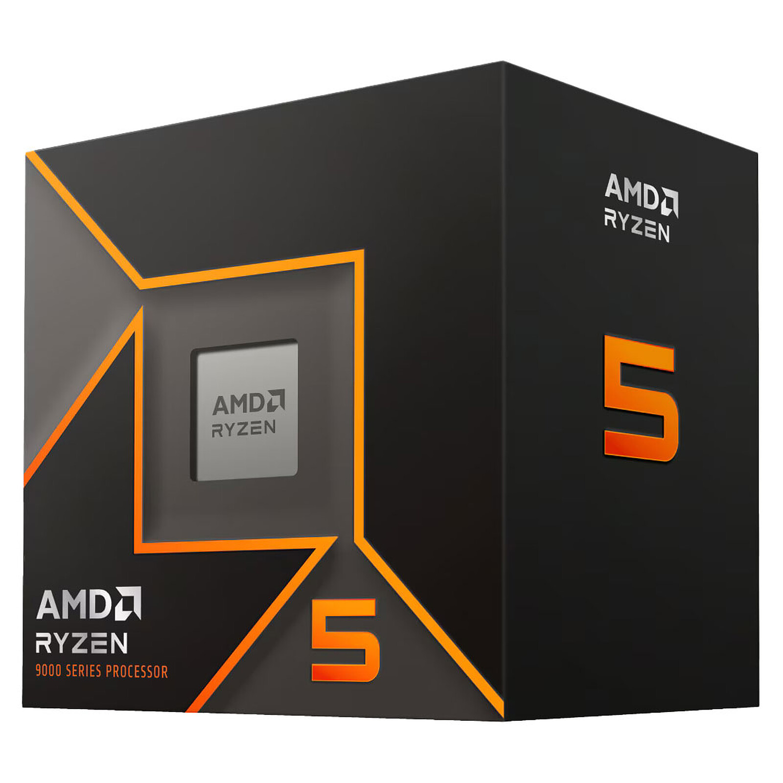 AMD Ryzen 5 9600 Wraith Stealth Processor (3.8 GHz - 5.2 GHz)