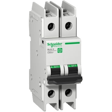 Schneider Electric Miniature Circuit Breaker - M9F42206