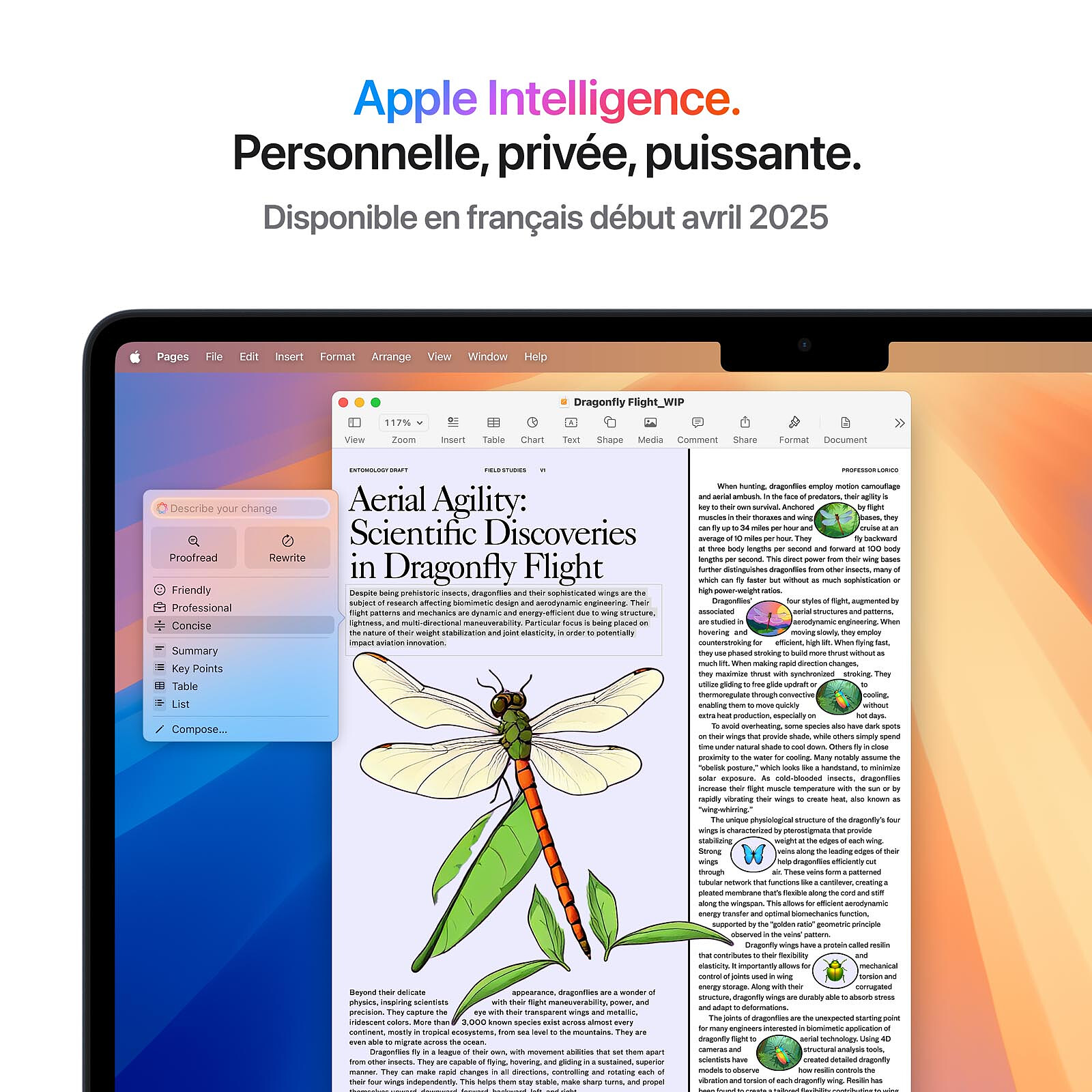 Apple MacBook Air M4 13-inch (2025) Midnight 16GB/256GB (MW123FN/A)