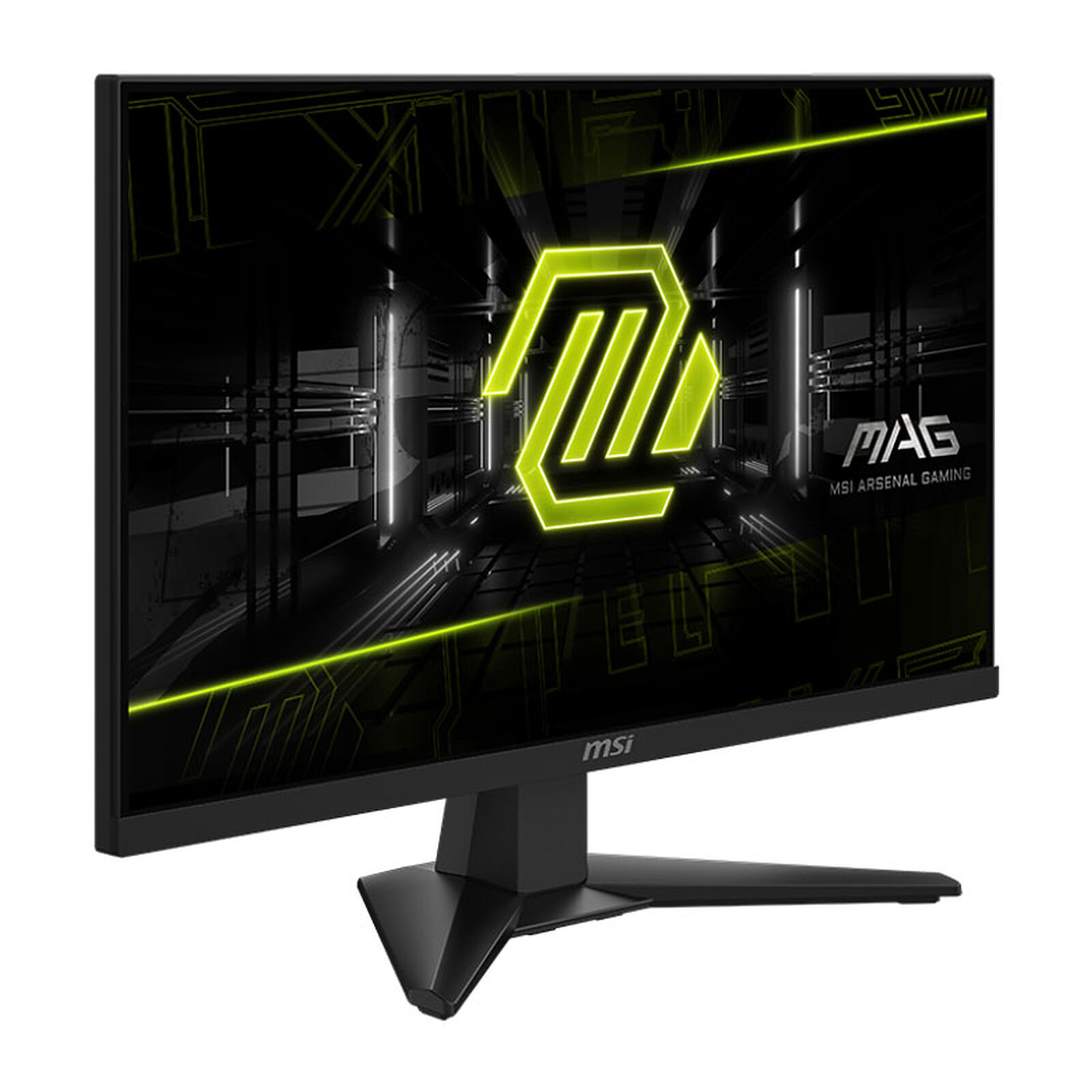 MSI 24-inch IPS Monitor