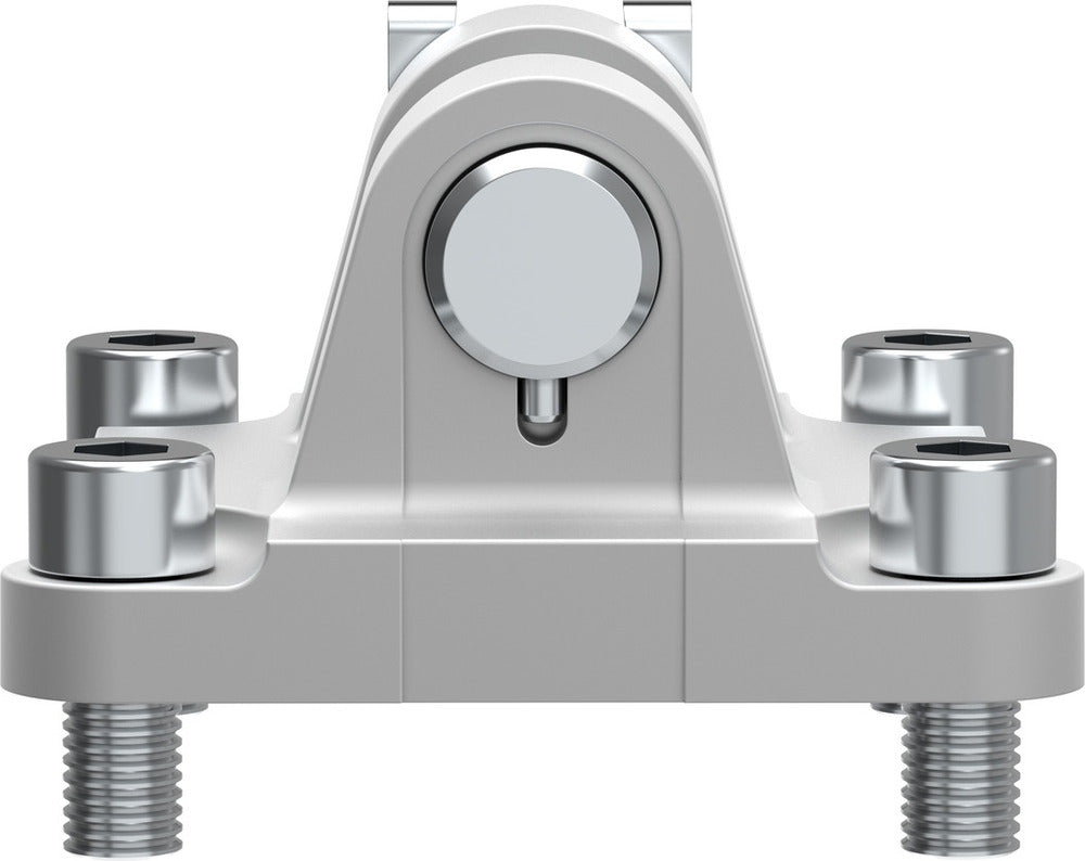 Festo Adjustable Flask, Size 100, ISO 15552 - 174388