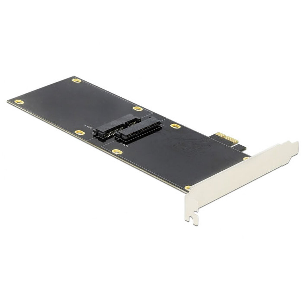 DeLock Carte Contrôleur PCI Express pour 2 disques 2.5" SATA 6 Gbps