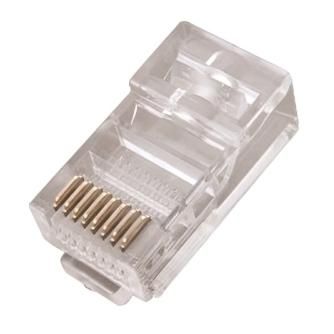 Connecteur RJ45 Masculin WP, Transparente