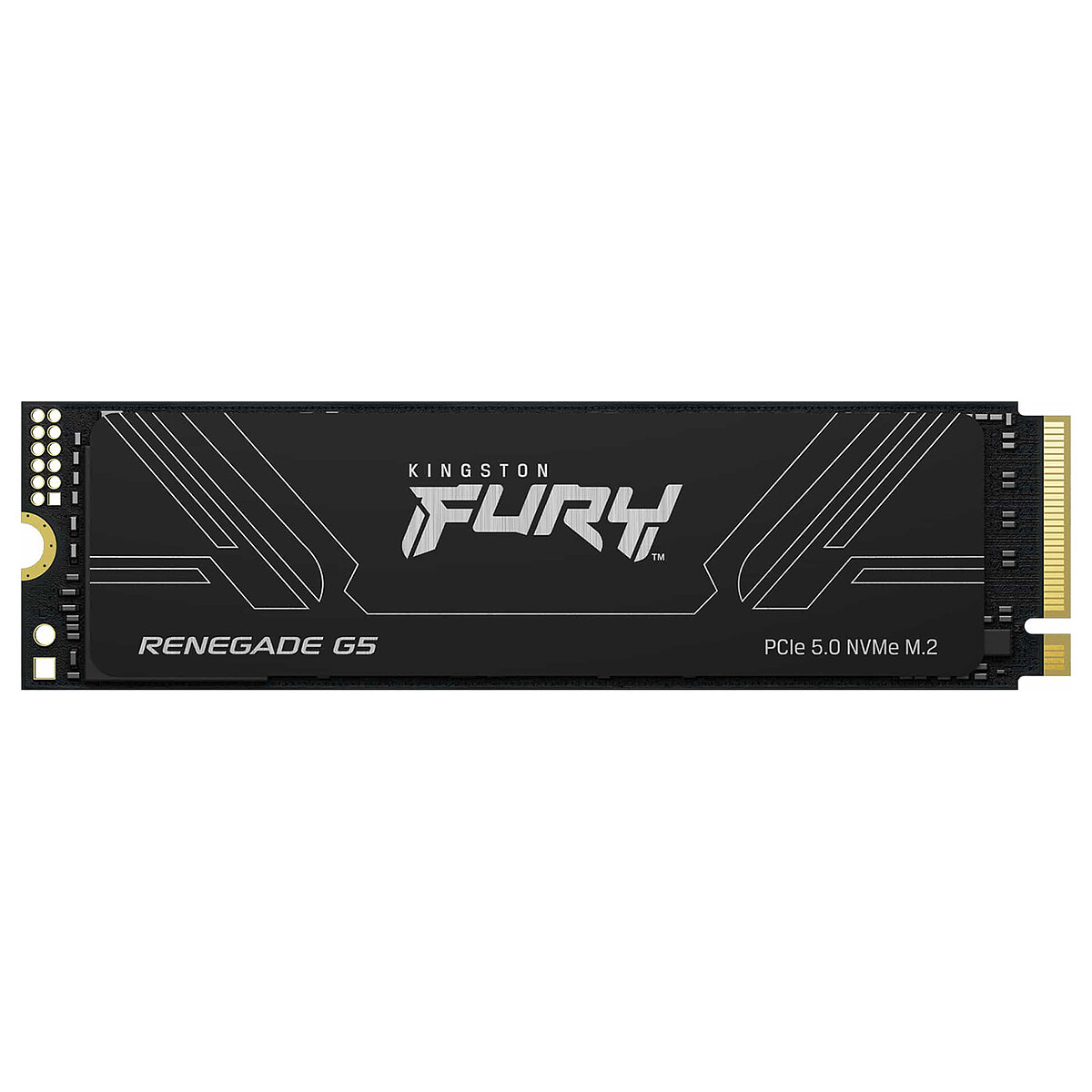 Kingston FURY Renegade G5 2 To