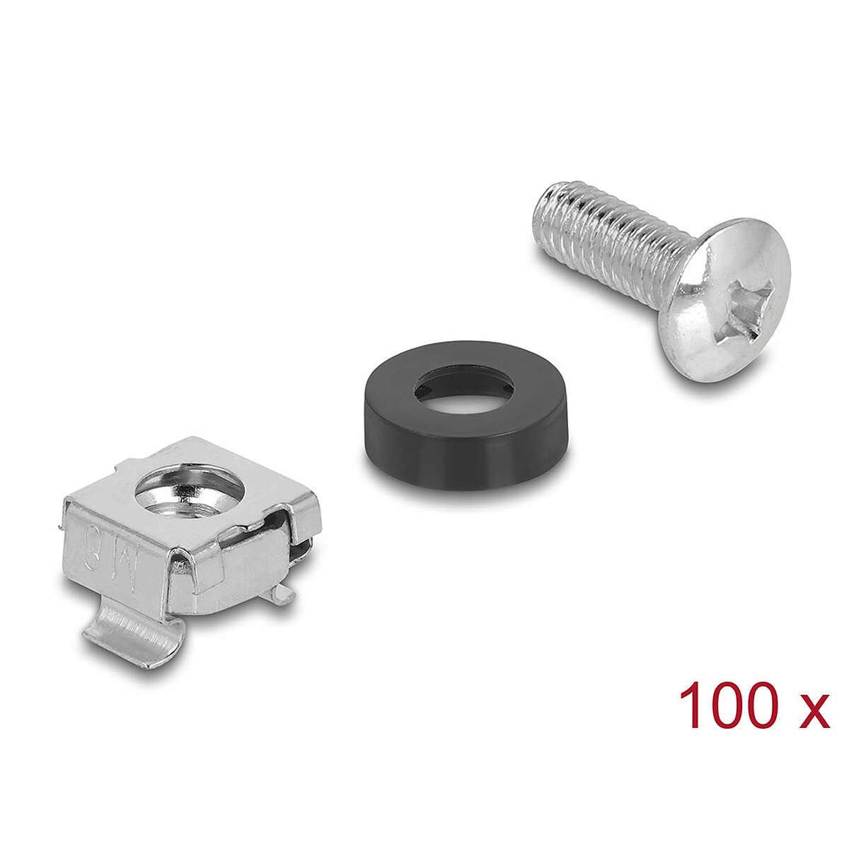 DeLock Kit de montage rack avec 100 vis M6, 100 écrous M6 et 100 rondelles en plastique