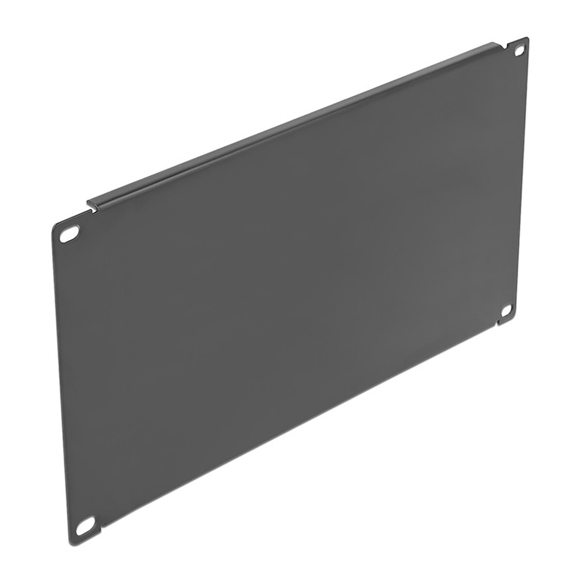 DeLock Cache d'armoire réseau 4U 19" - Noir