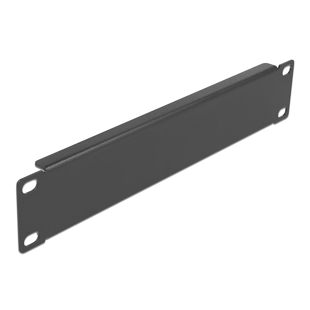 DeLock Panneau plein 1U pour armoire réseau 10"