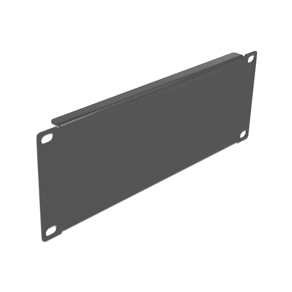 DeLock Panneau plein 2U pour armoire réseau 10"