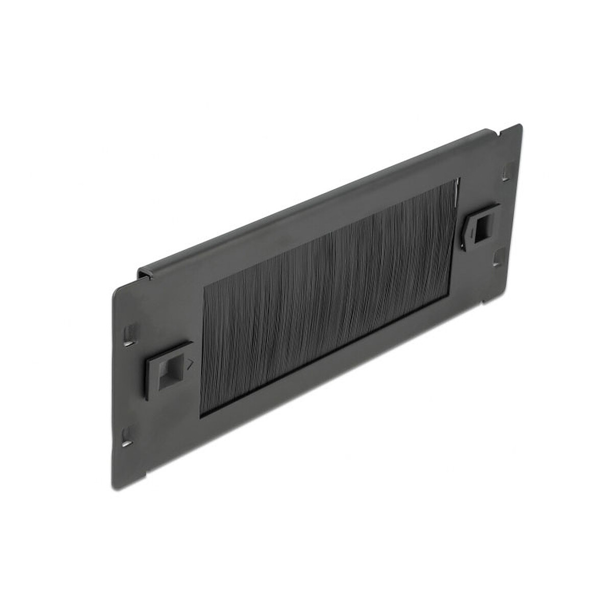 DeLock Panneau passe-câble à brosse 2U pour armoire réseau 10"