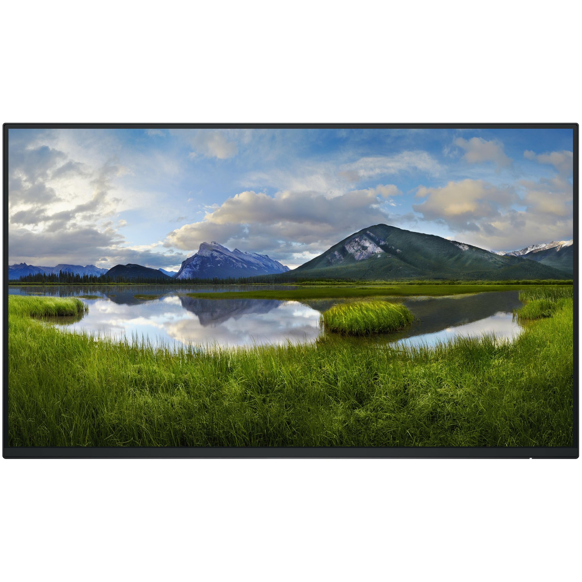 Dell Pro Plus P2425H_WOST 24-Inch Full HD LCD Monitor