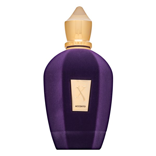 Perfume Xerjoff Accent - 100 ml