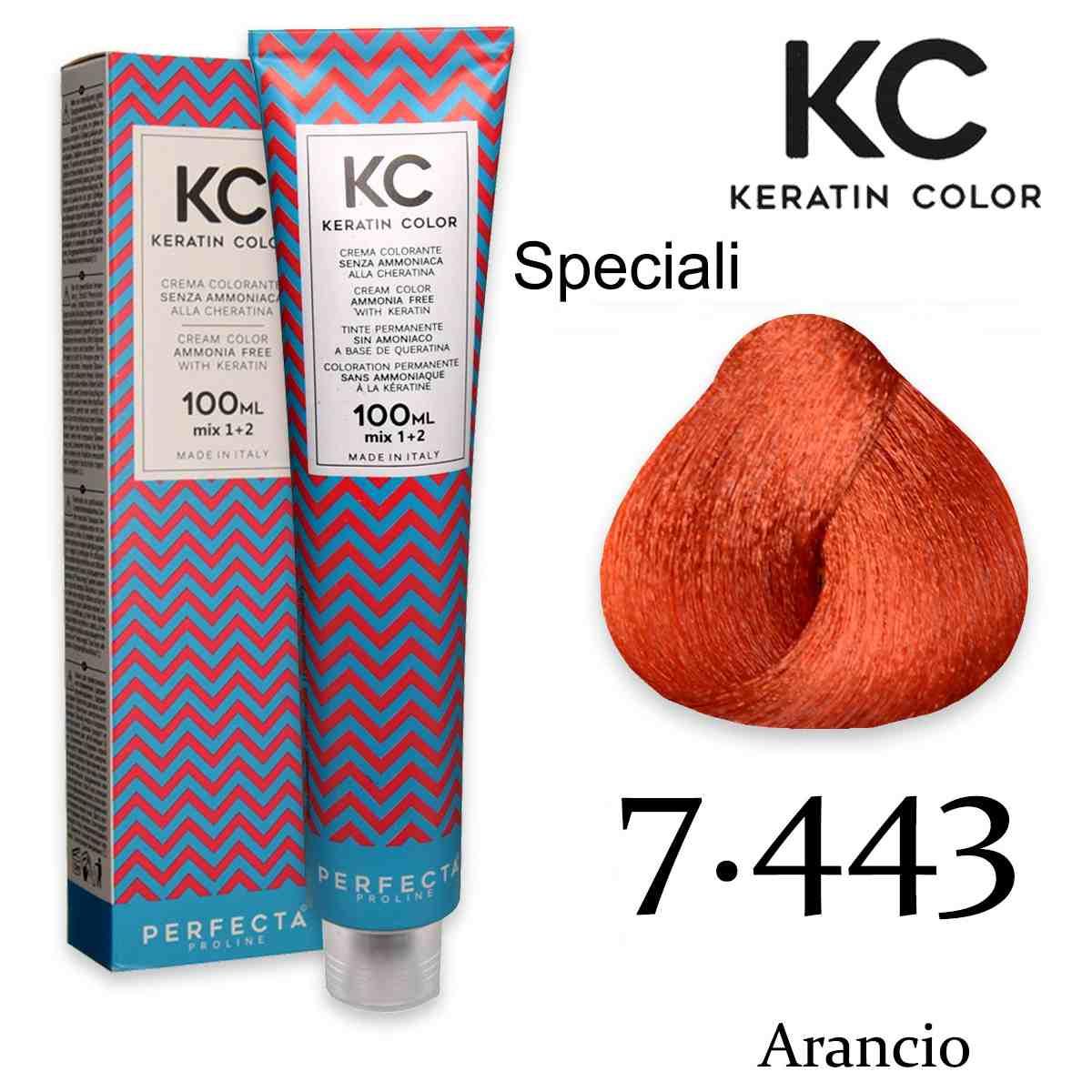Faipa Professional Keratin Color Cream 100ml