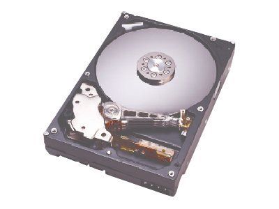 Western Digital Deskstar 7K250 - 40GB Internal Hard Drive