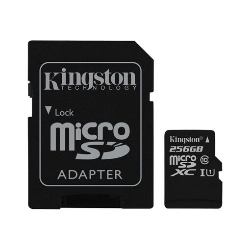 Kingston 256GB MicroSDXC UHS-I Card (with SD Adapter)
