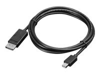 Câble Lenovo DisplayPort 2 m, Mini vers DisplayPort Noir