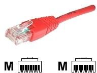 Dexlan CAT 6 RJ-45 to RJ-45 Cable - 50cm - Red