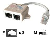Dexlan Network Splitter - RJ-45 (M) to RJ-45 (F) - 10cm - CAT 5