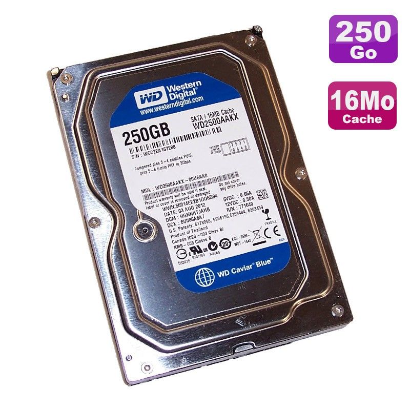 Disque dur interne Western Digital Caviar Blue 250 Go SATA 3,5"