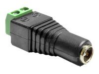 Delock 2.1mm x 5.5mm DC Cable Adapter (2-Pin Terminal Block)