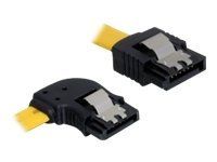 Câble SATA Delock 0,3 m M/M - 30 cm
