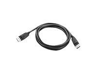 Câble DisplayPort Lenovo, 1,8 m, Noir