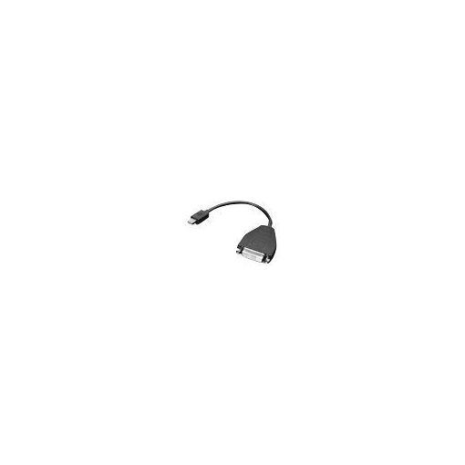 Adaptateur Lenovo 0B47090, 20 cm, Mini-DisplayPort vers DVI, noir