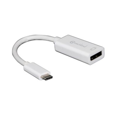 Connectland USB Type-C to DisplayPort Adapter