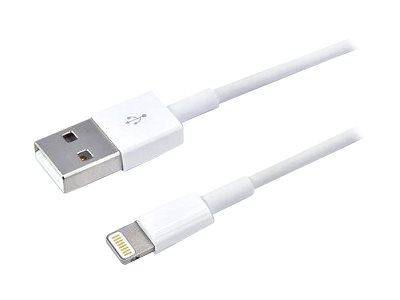 Câble Lightning D2 Diffusion