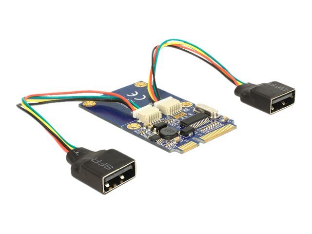 Adaptador Delock USB 2.0 - MiniPCIe a 2 x USB 2.0