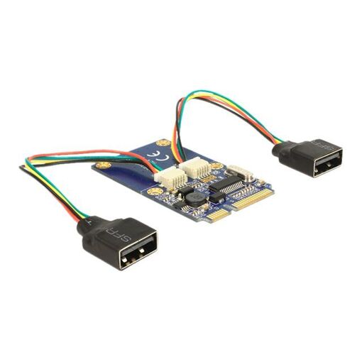 Adaptador Delock USB 2.0 - MiniPCIe a 2 x USB 2.0