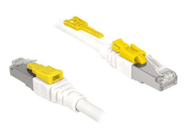 Delock Secure Ethernet Cable - 50cm, CAT 6a, STP, RJ-45 (M) to RJ-45 (M), Halogen-Free, White