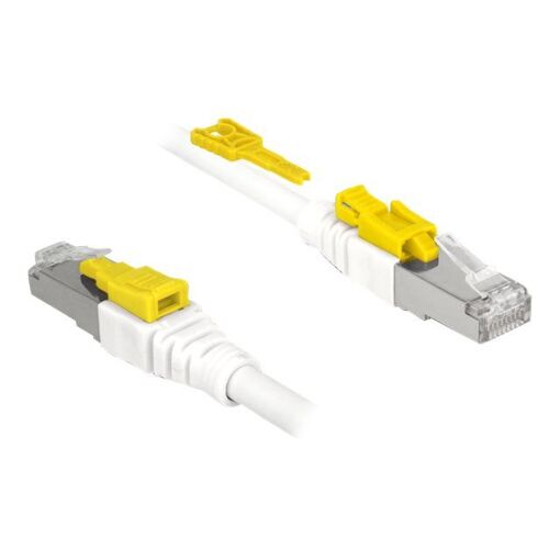 Cabo de red Delock Secure - 50 cm, CAT 6a, STP, RJ-45 (M) a RJ-45 (M), sin halógeno, blanco