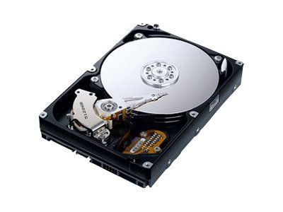 Disque dur Samsung SpinPoint F1 500 Go interne
