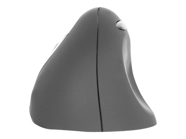 Urban Factory Ergo Mouse for Lefties