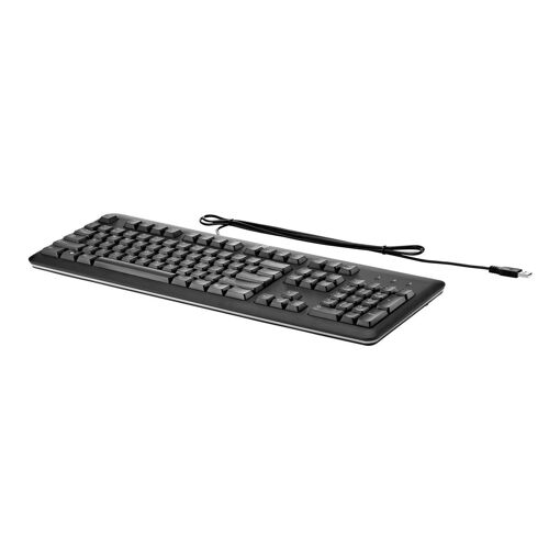 Teclado HP - USB - Negro (Tamaño completo, diestro)