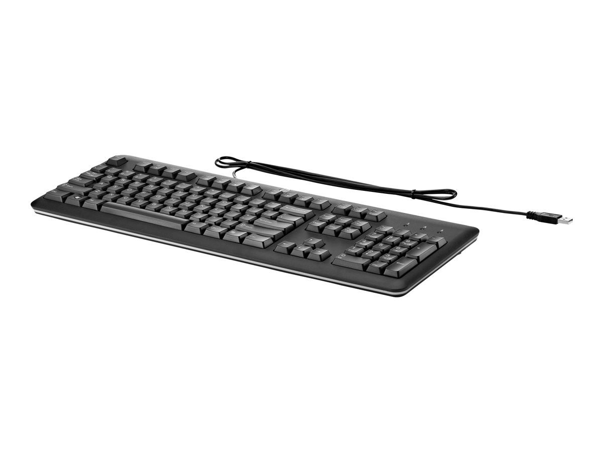 HP Keyboard - USB - Black (Full Size, Right-Handed)