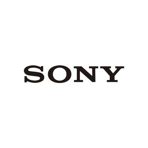 Sony Video/Audio Cable