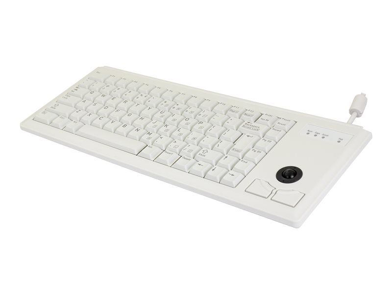 Cherry ML4420 USB Keyboard - US - Light Grey