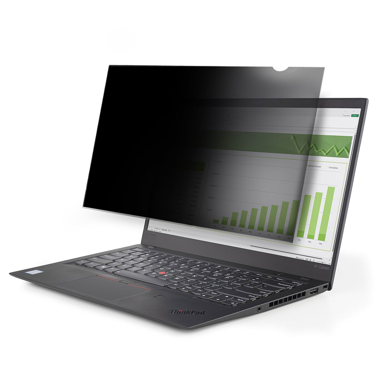 StarTech.com 14L-PRIVACY-SCREEN