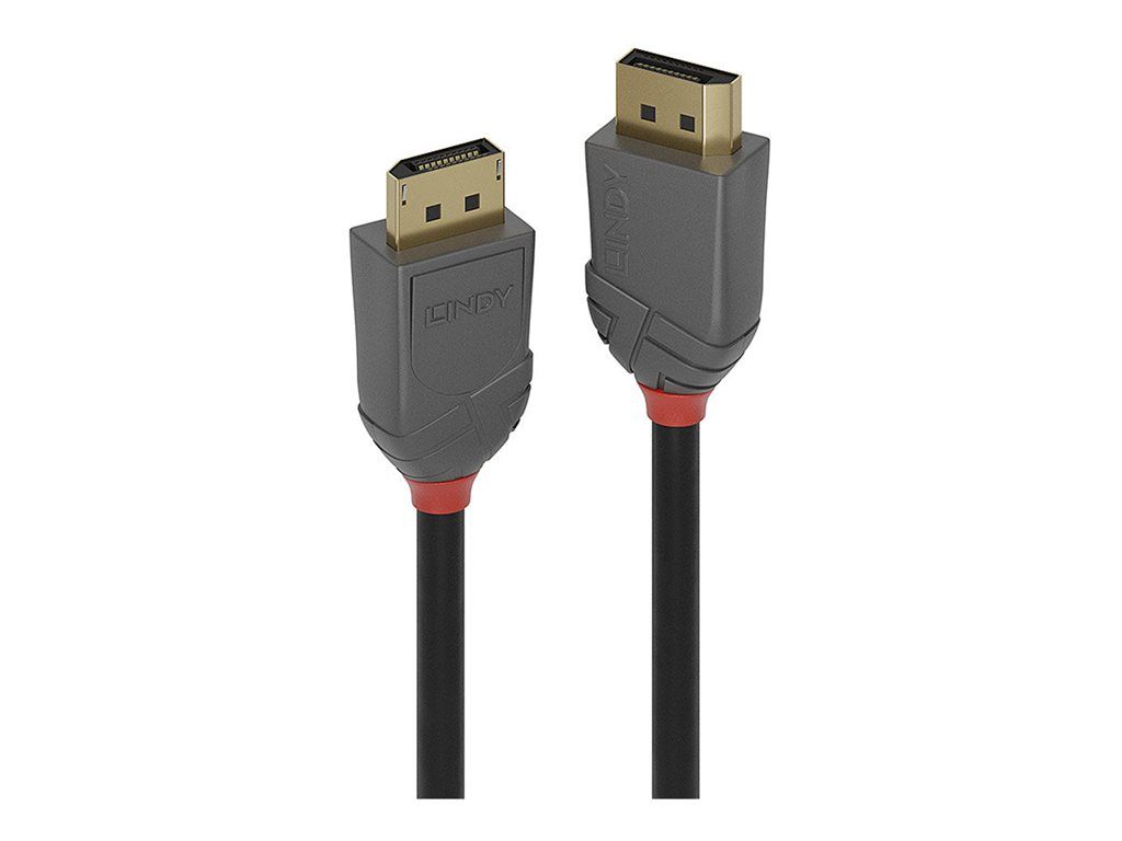 Lindy Anthra Line DisplayPort Cable - 5m, Round, Black