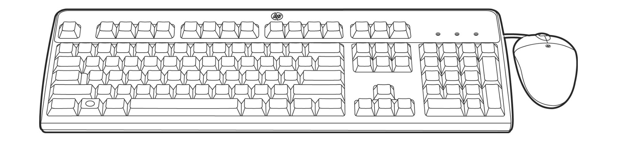Kit HPE BFR libre de PVC con teclado y ratón - USB - Negro